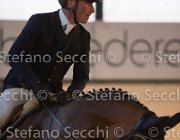 xx FZ TosTour2013- S5 3128 : Arezzo, Arezzo Equestrian Centre, Cavalli d'Italia, Toscana Tour 2013, foto di Stefano Secchi ©, xx FZ